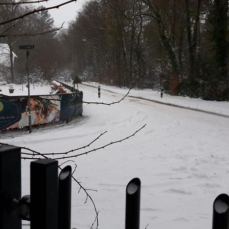 Vila Bospark De Schaapskooi Epe Exteriér fotografie