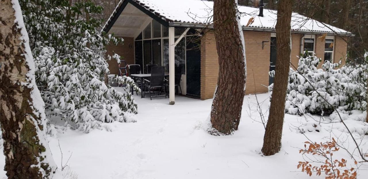 Vila Bospark De Schaapskooi Epe Exteriér fotografie