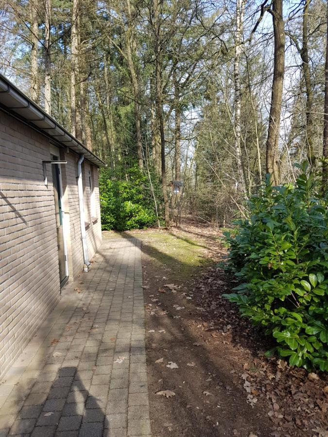 Vila Bospark De Schaapskooi Epe Exteriér fotografie